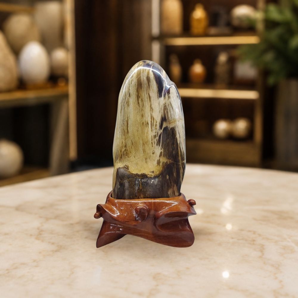 Khối Gỗ Hóa Thạch Tự Nhiên